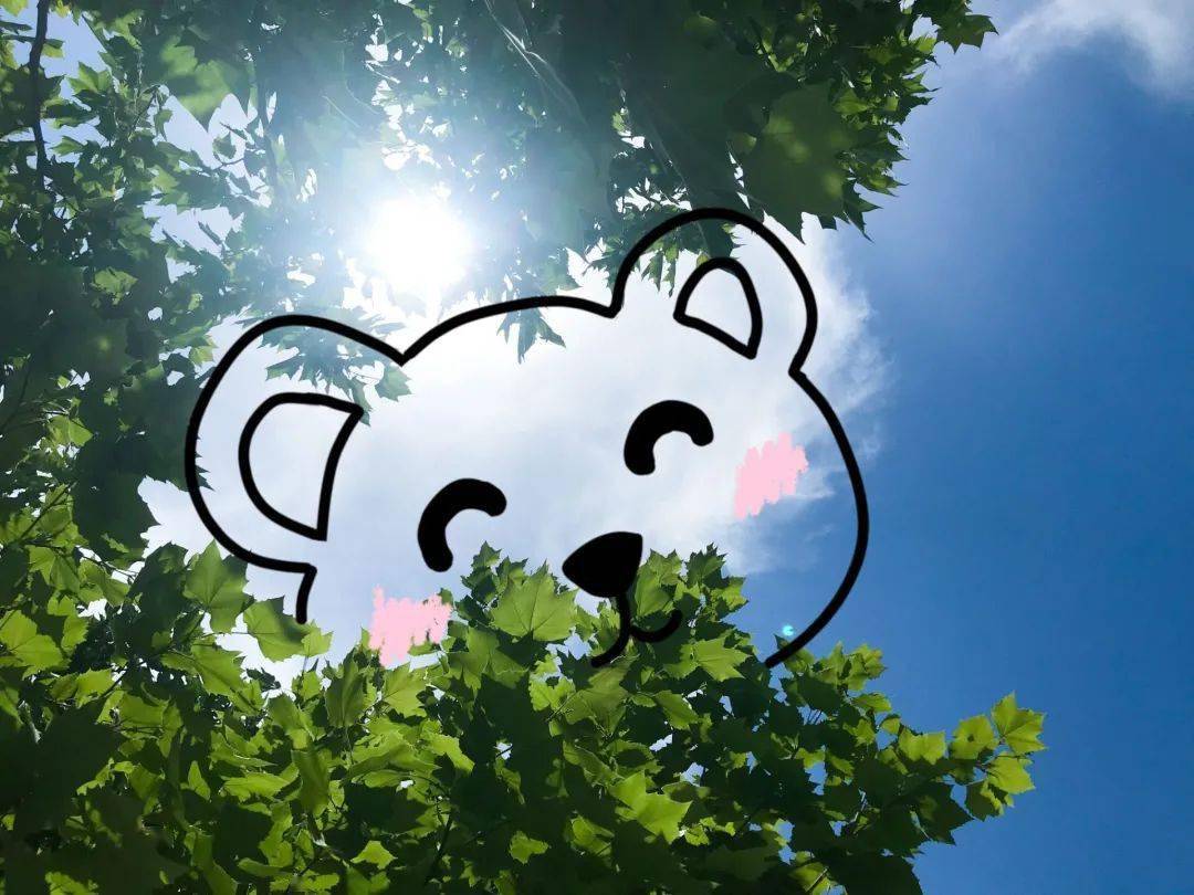 天空飘忽云朵之上住着一群小可爱在满是晨光的清晨在风和日丽的午后在