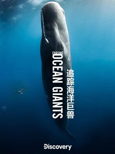 来自|这部纪录片告诉我们，夜晚的座头鲸喜欢在深海唱K
