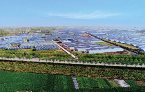 最大水上漂浮式光伏电站在山东并网发电 德州