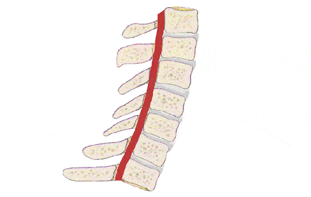 记住这3点,你的颈椎病就不会再加重了!