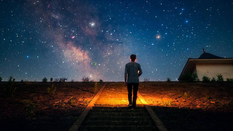 4大星座最高傲 不迎合不讨好 不想做的事 谁也勉强不了 狮子座