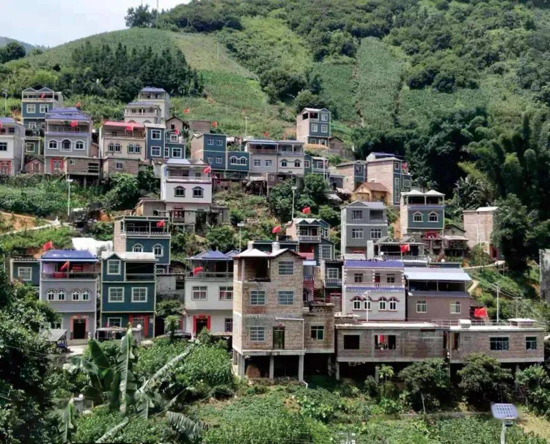 西柳林村图片
