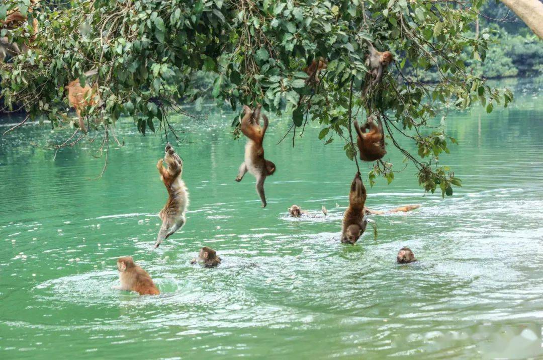端午节小众亲子游玩指南,这个端午节开启绝妙的田园亲子时光