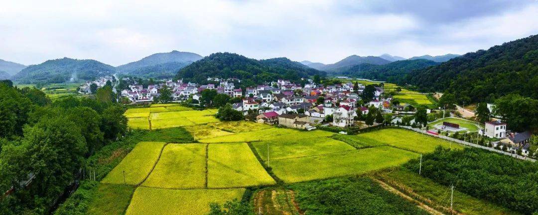 你好,芜湖市乡村振兴局!_扶贫