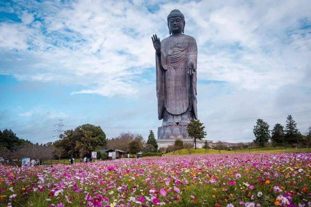 名古屋大佛在爱知县的桃严寺,有一尊10米高的大佛