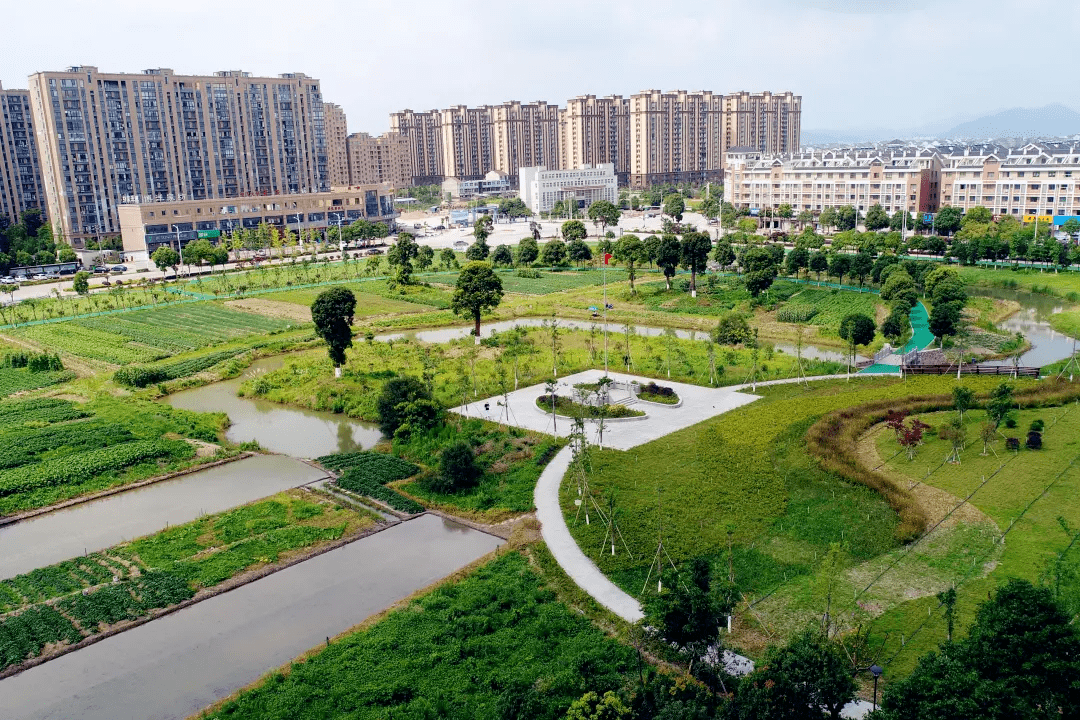 展现新业绩实现新作为箬横镇践行新时代乡贤模式赋能美丽城镇建设展新