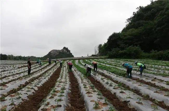 怎么搭土坡_小土坡怎么做一个公园(3)