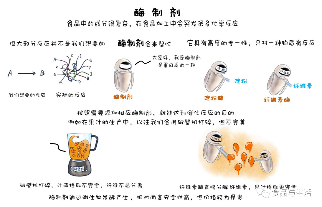 酶制剂只做好事不留名