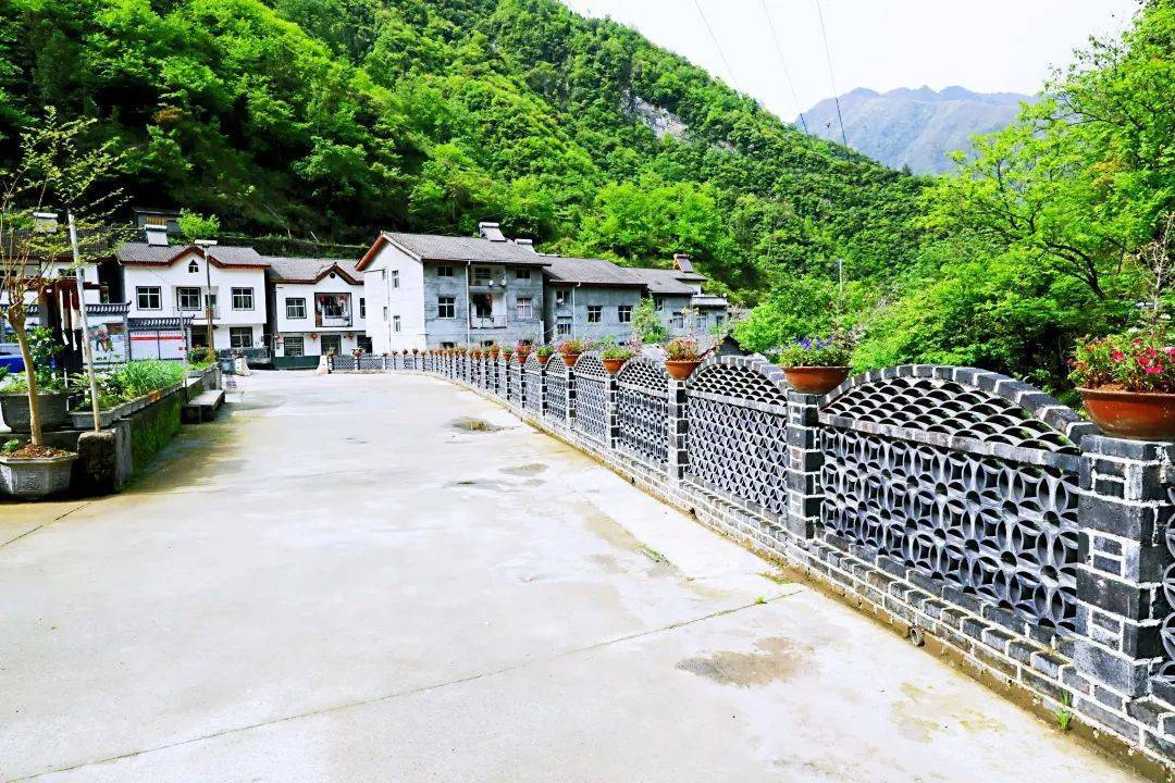 靓在木鱼 || "美丽庭院"创建进行时!