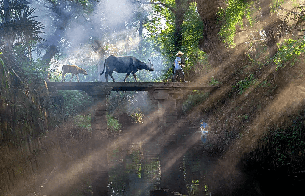 美景,美片,美食 6月12日去歙县烟村过一个美美的端午节!