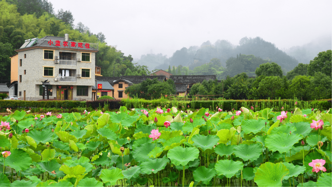莲都老竹:美丽城镇建设让畲乡风情更有韵味_丽水