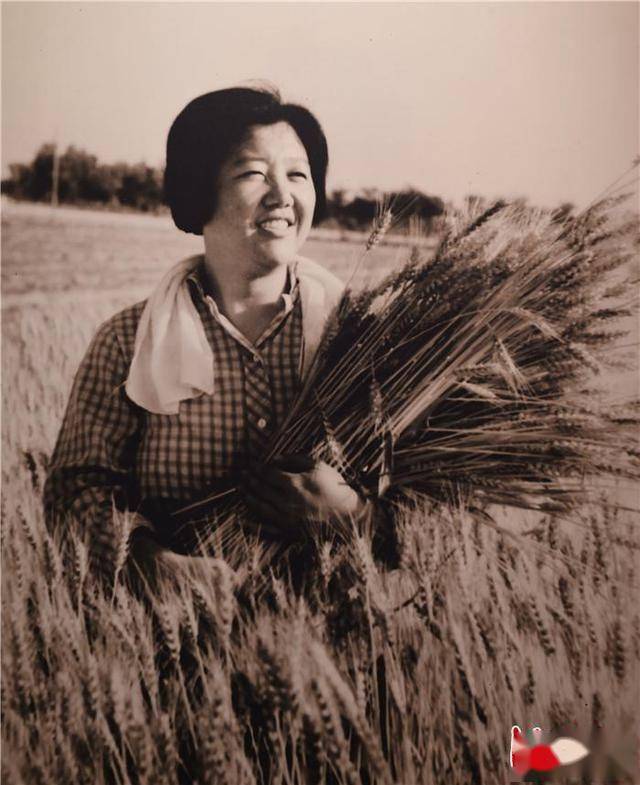 燕赵追梦人吕玉兰全心全意为人民保持本色第一桩