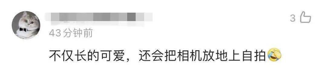 上自|祝融号在火星上自拍还有彩蛋