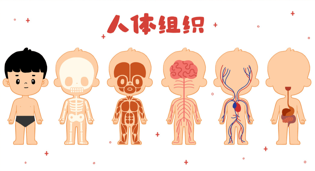 研途分享专家说从系统论元整体观解读天人相应理论内涵