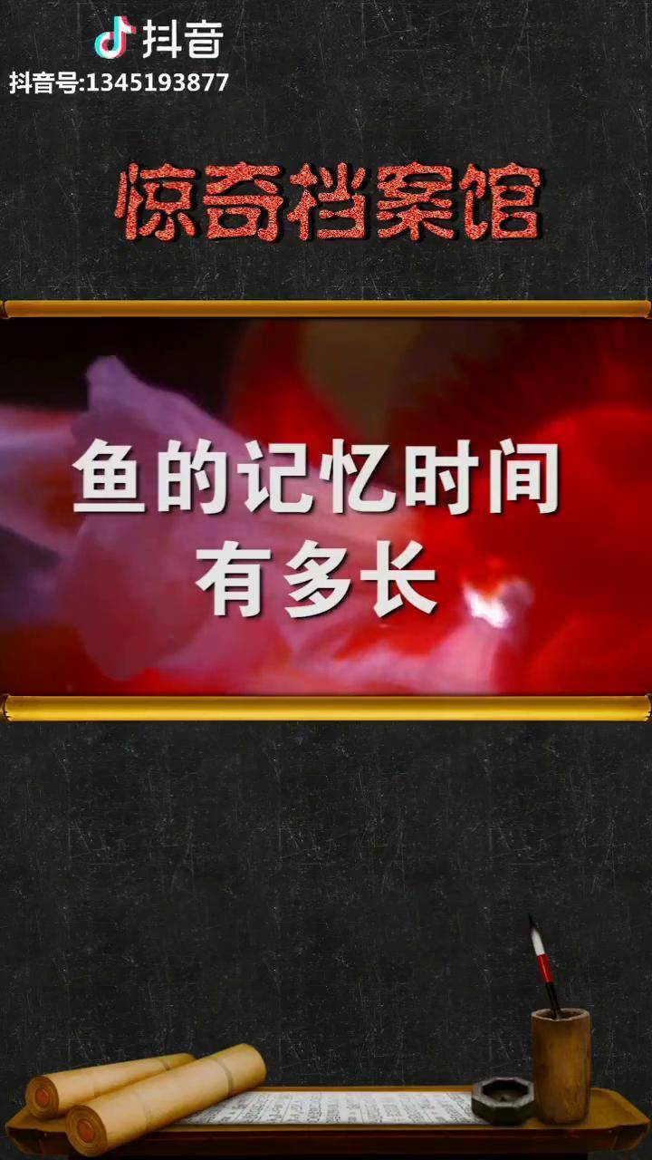 用科学解释告诉你鱼的记忆到底是不是只有7秒惊奇档案科普