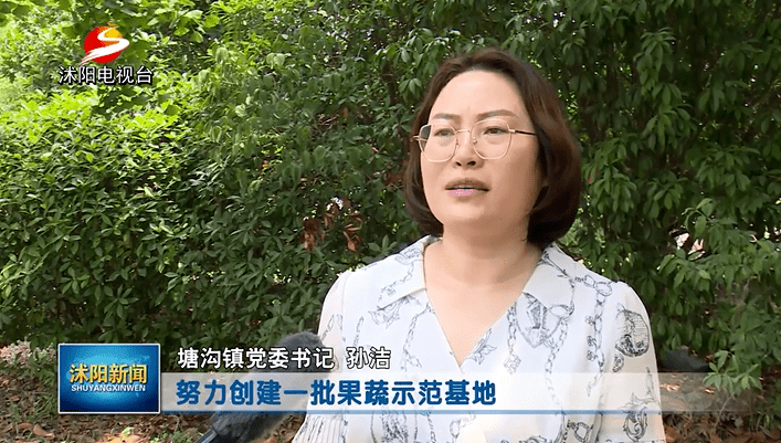 争当排头兵我们怎么办92访塘沟镇党委书记孙洁