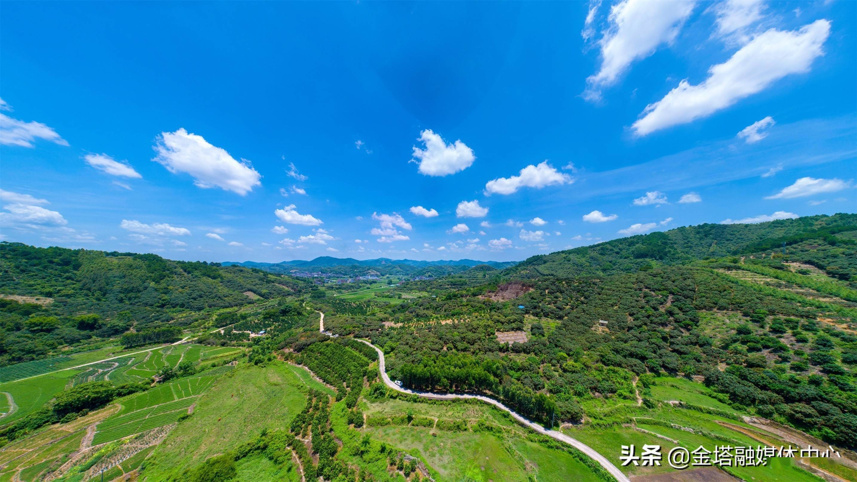 在广西壮族自治区钦州市钦北区长滩镇,荔枝种植业是农民增收的支柱