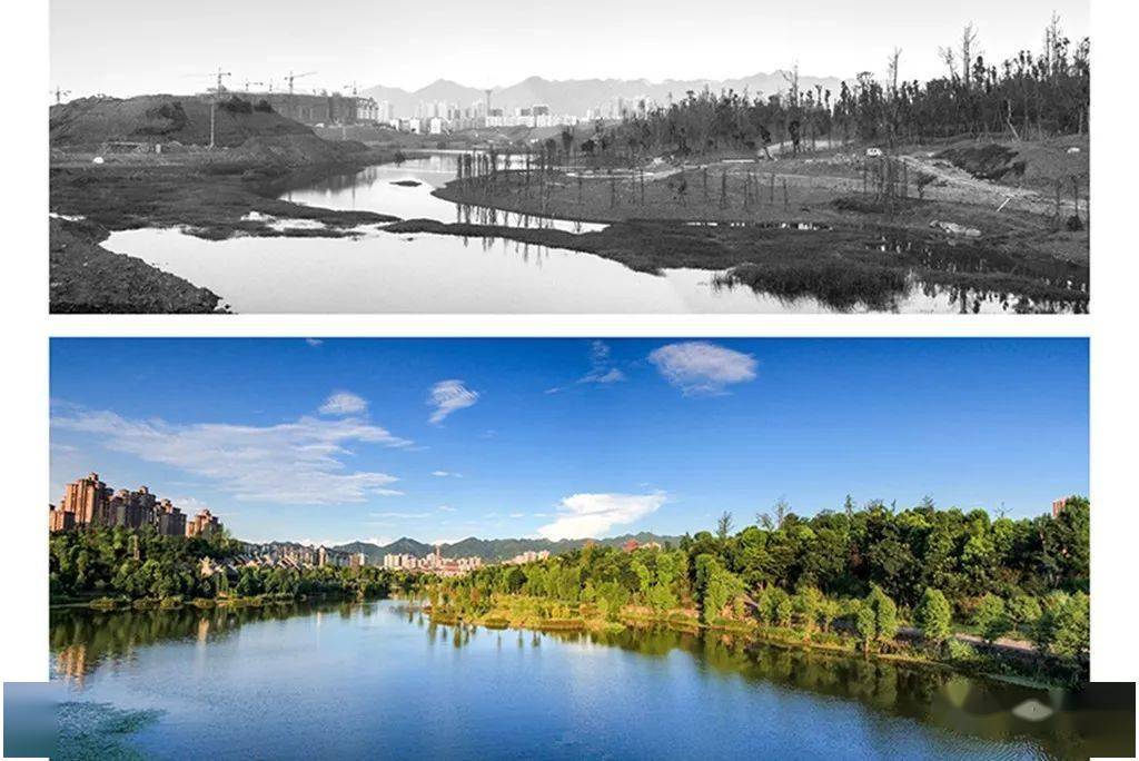 何亦農《璧山半程馬拉松》 範中宇《春芽》 尹水才《多彩古道灣》