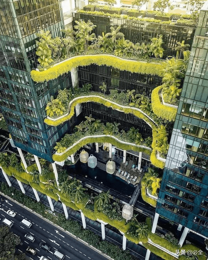 令人惊艳的立体绿化，让绿色在城市蔓延建筑 