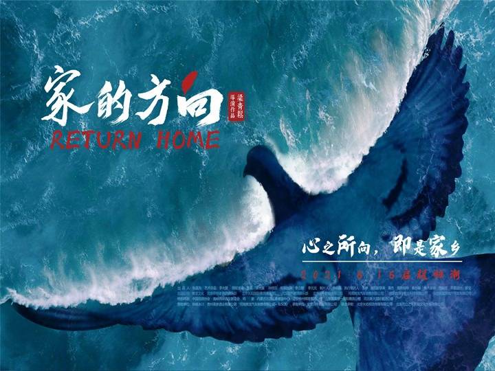 电影《家的方向》开机:跟随信鸽穿越亲情海峡