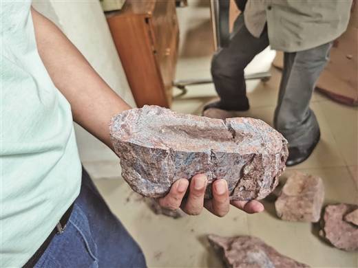 广西首次发现侏罗纪晚期恐龙化石
