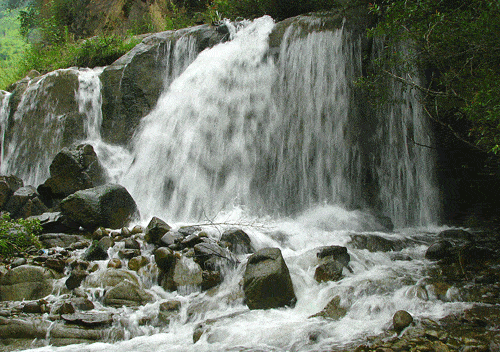 与植被呼应成绿色的清泉顺流而下溪水流淌在山谷间因景区内植被茂密.