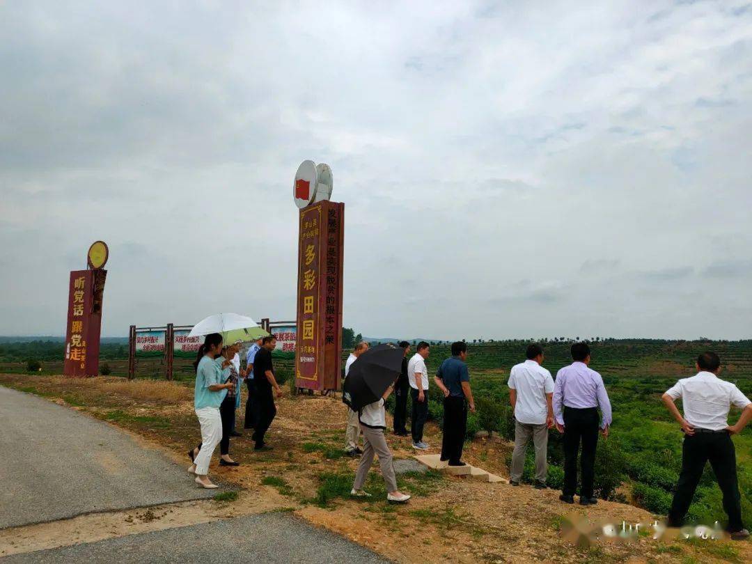 周党镇:人大代表为乡村振兴发展提速