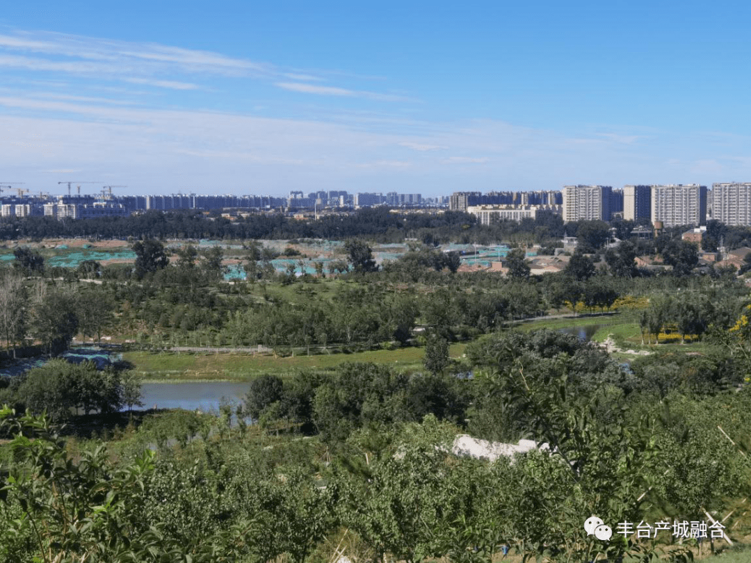 丰台区政协调研南苑森林湿地公园