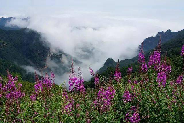 美不胜收 驼梁地形四周封闭 中为谷地 形成了山峦峦绵亘,沟壑纵横