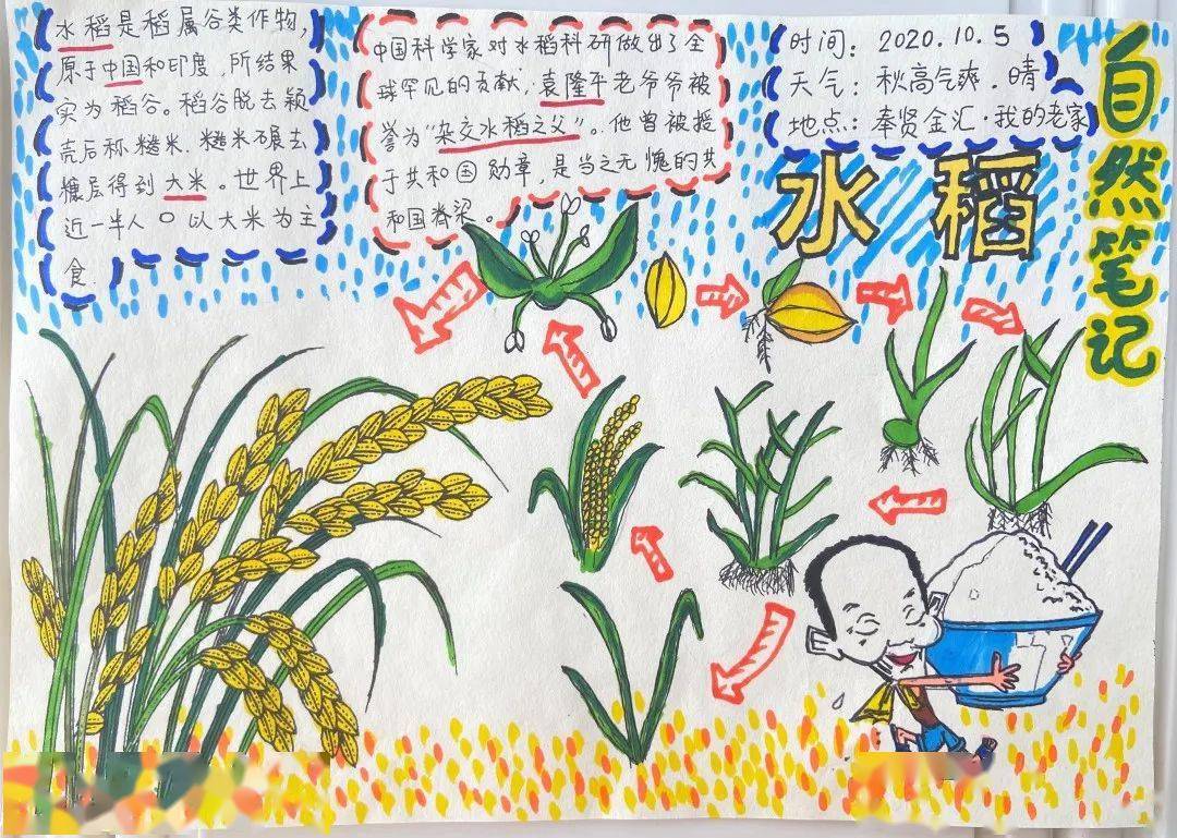 此次青少年自然笔记大赛活动通过在自然生态中学习,体会,以手写,手绘