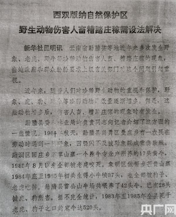 由15头野生亚洲象北上想到的新闻与旧事_大象