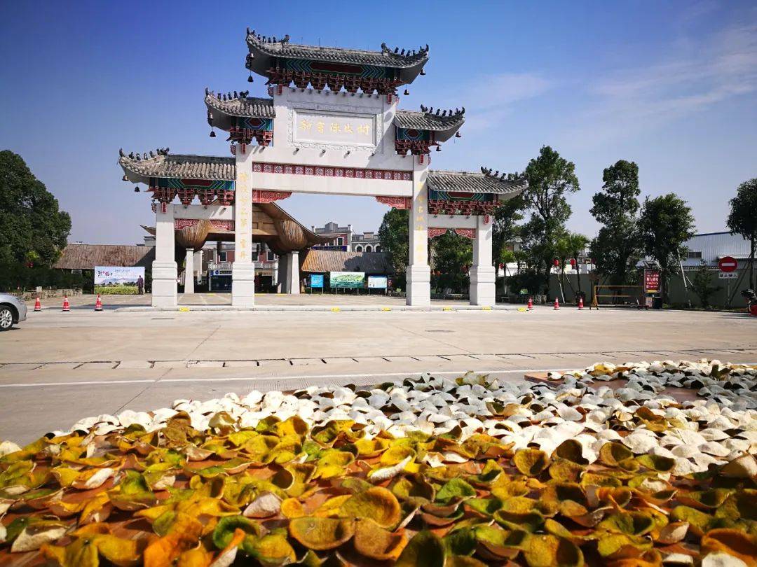 推荐江门这条宝藏线路,看完决定带上娃出发!_新会