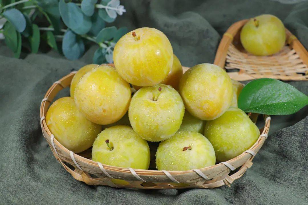 这李子色泽金黄,果皮薄如蝉翼,入口爆汁,脆嫩似黄瓜!