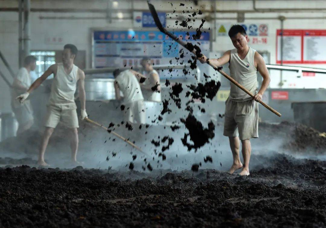 茅台酒四轮次入佳境——茅台酒传统酿造工艺影像探秘之七