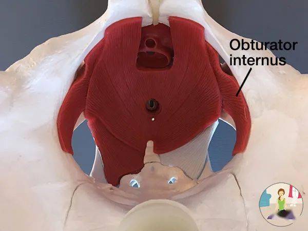 张雨绮瘦成吴谨言体重不过百看完吓得我瓜都掉了