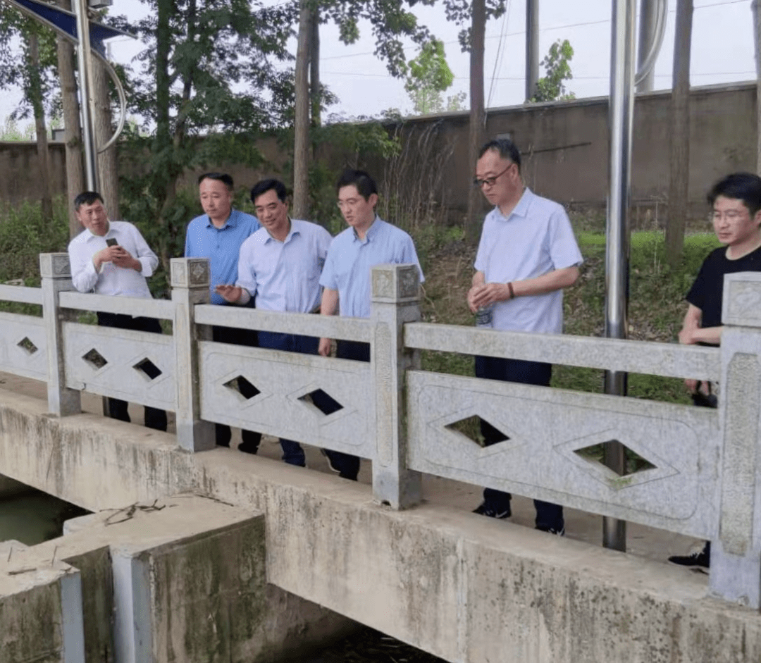 春夏攻坚丨东海县常务副县长徐冰督查平明大沟拦蓄差水治理工作