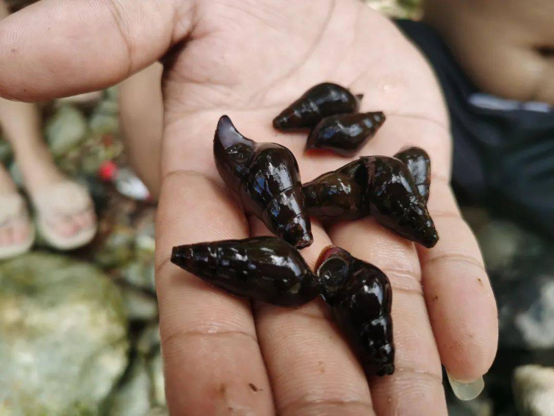 到山沟沟里泡野潭子水上野餐扑通一声夏天的快乐就这么简单