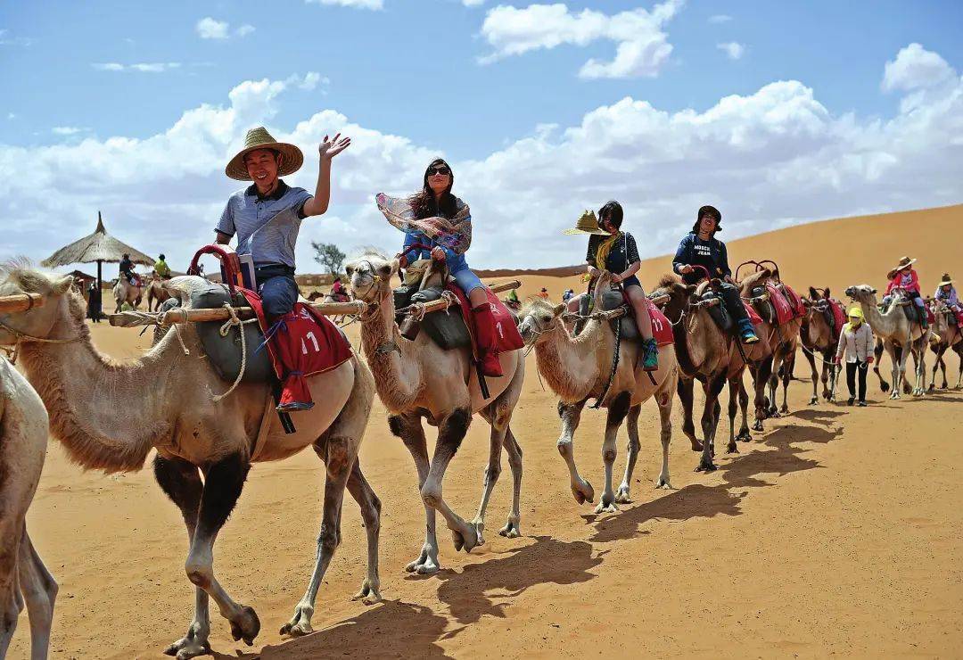 ����ű������ǿ��¹��ʸ߼��鱦չ������ɳ��ͷ�ٰ�