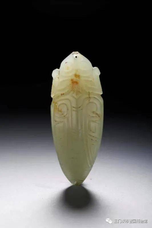 白玉彫り蝉 A WHITE JADE FIGURE OF A CICADA QING DYNASTY | 清白玉蟬