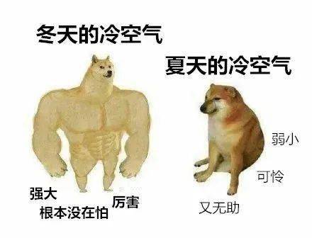 15591a24f4654cf998d83cfe8dfa02cf.jpeg