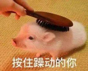 怎么搜微信表情包 361f7dec10174da9a003ddce677f5e57.jpeg