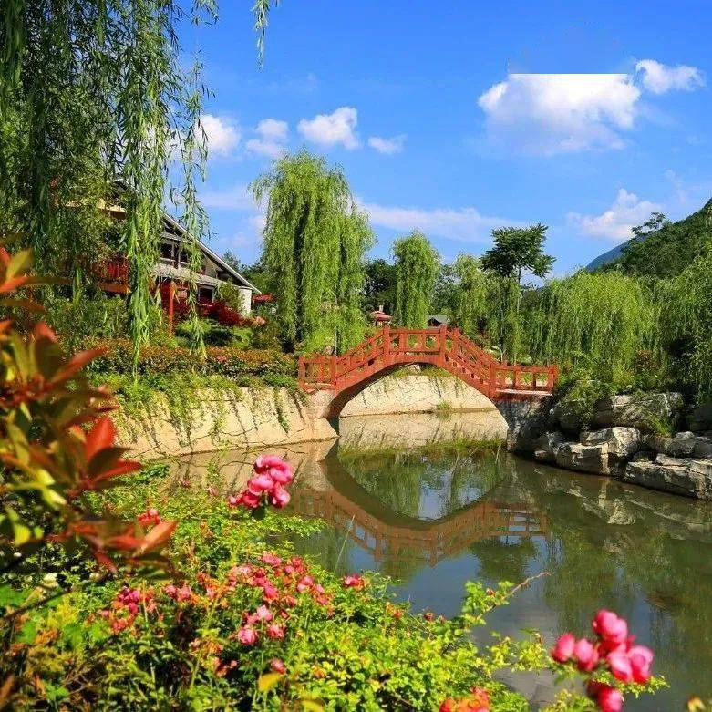 康县这个村是4a级旅游景点,你知道吗?_花桥村