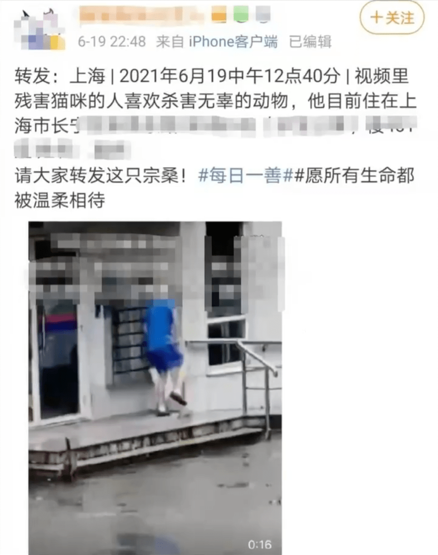上海一男子故意踩死小猫 警方 已进行警告教育 事发门栋前摆满锡箔和鲜花 小区