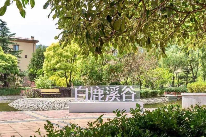 白鹿溪谷超大力度 不容错过本次活动共发放体验券100张白鹿溪谷国际