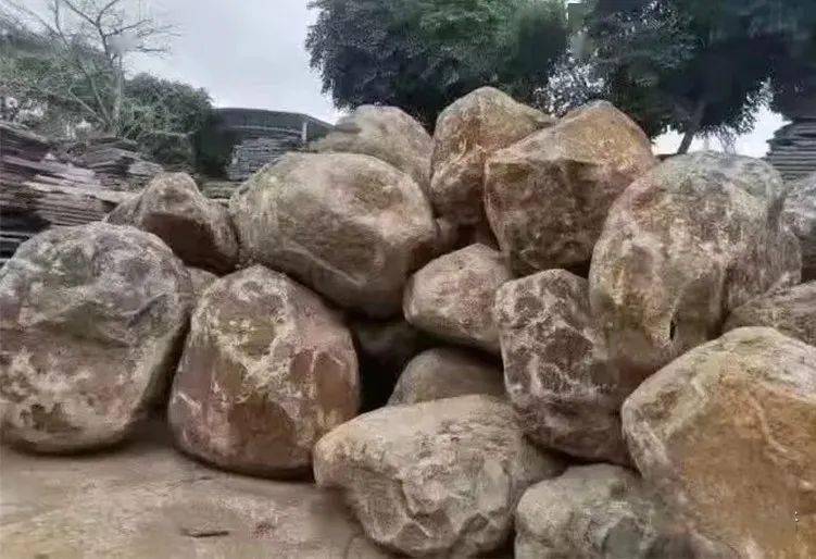 这是我们南方的话梅 你那呢