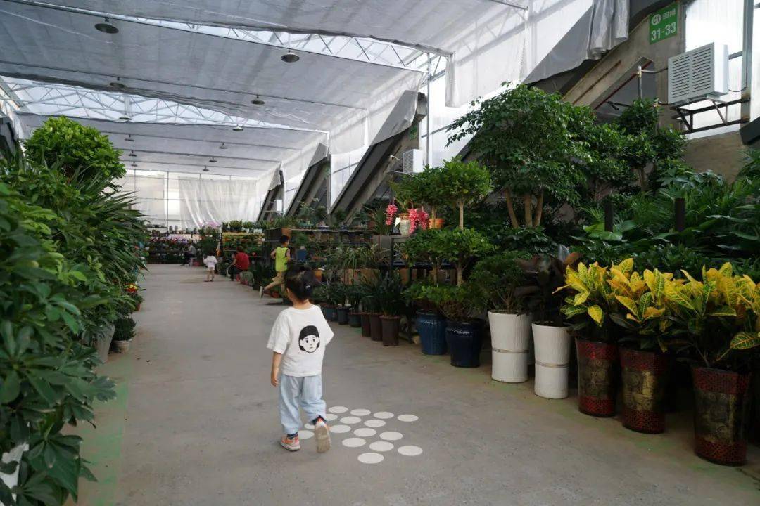 老工厂变形空中花市街区更新的西安样本