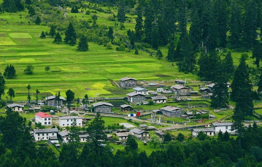 「鲁朗」东方小瑞士