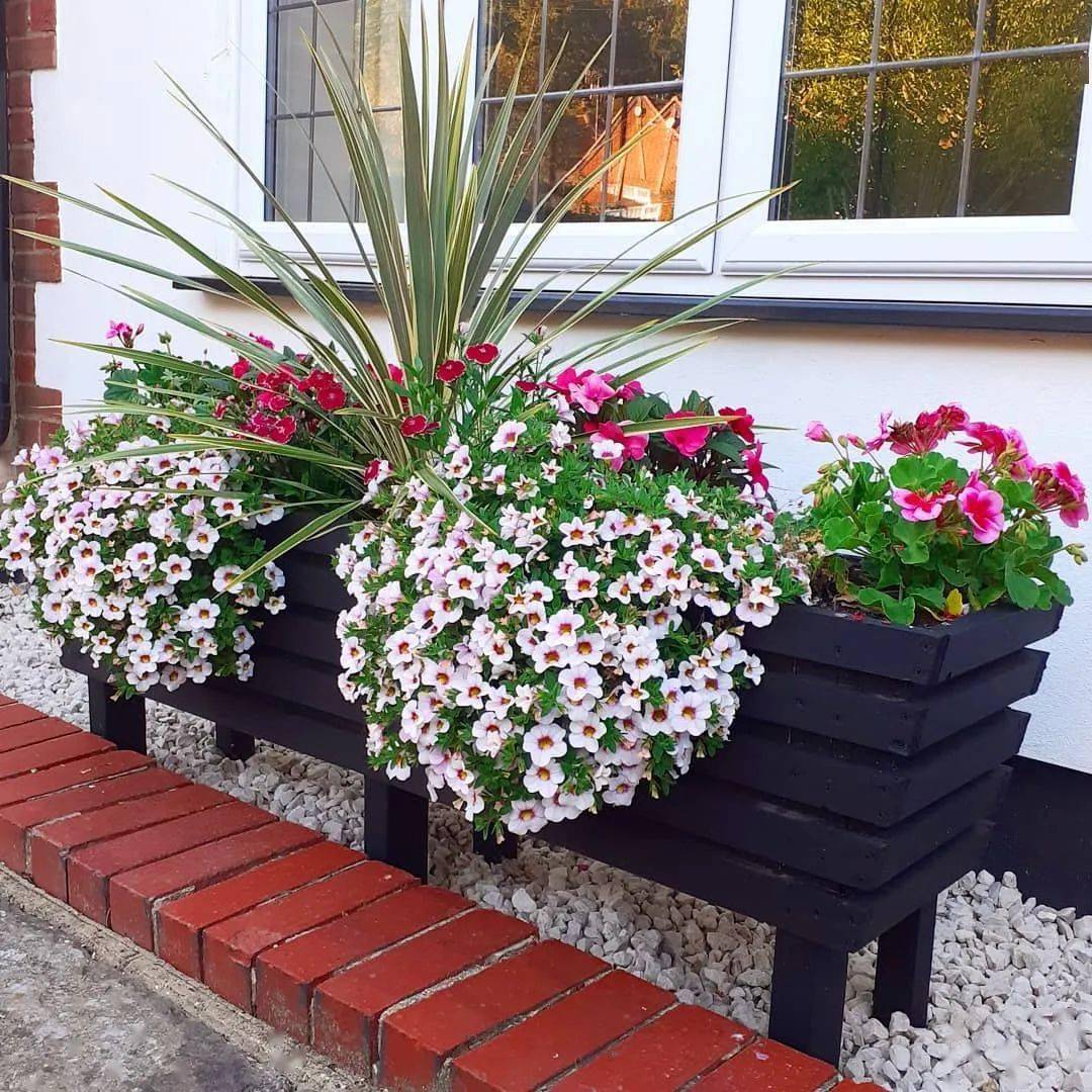 给你的窗台装个花箱,太美了!_种植
