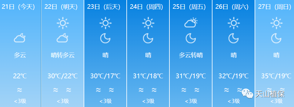 棉田做好打頂前準備,未來7天新疆的天氣是這樣的