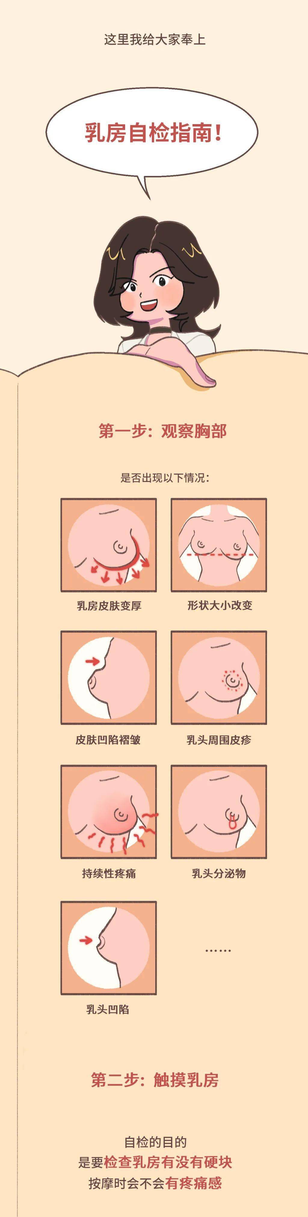 乳房的正常外观图片